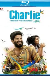 Charlie (2015) 480p 720p 1080p BluRay South Movie ORG. [Dual Audio] [Hindi (HQ) or Malayalam] x264 ESubs [450MB] vegamovies.cfd